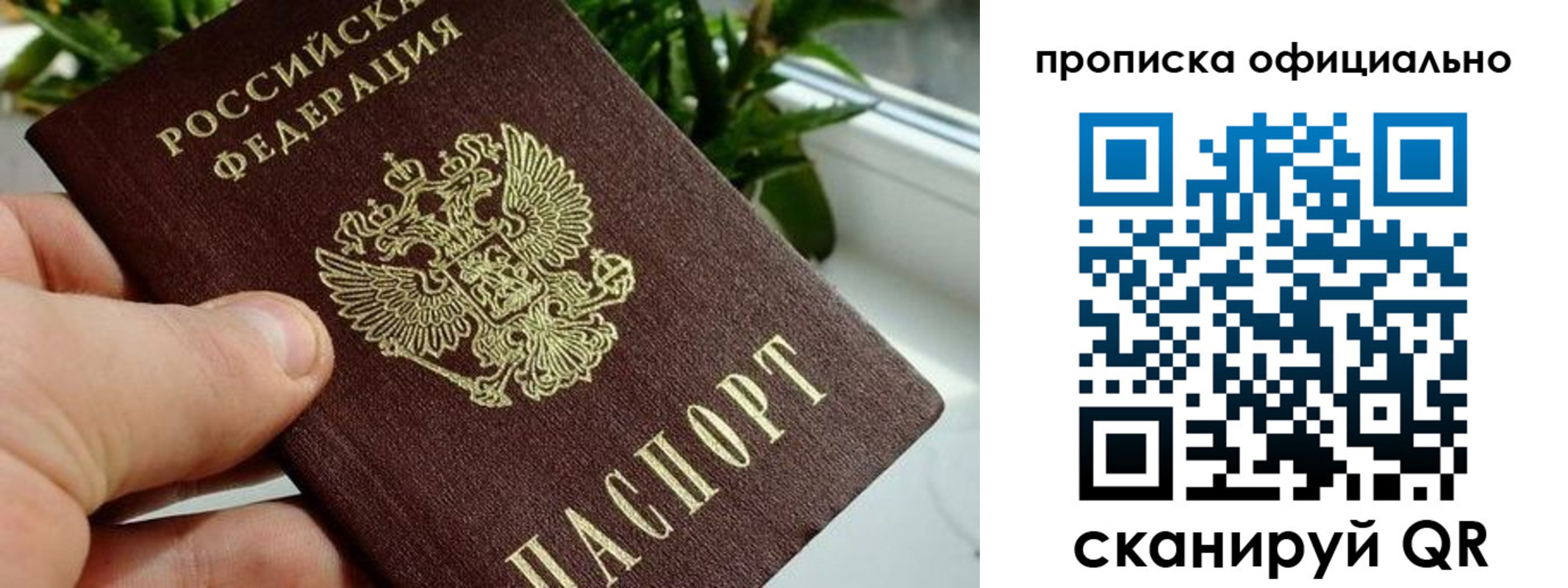 прописка поиск в Магадане